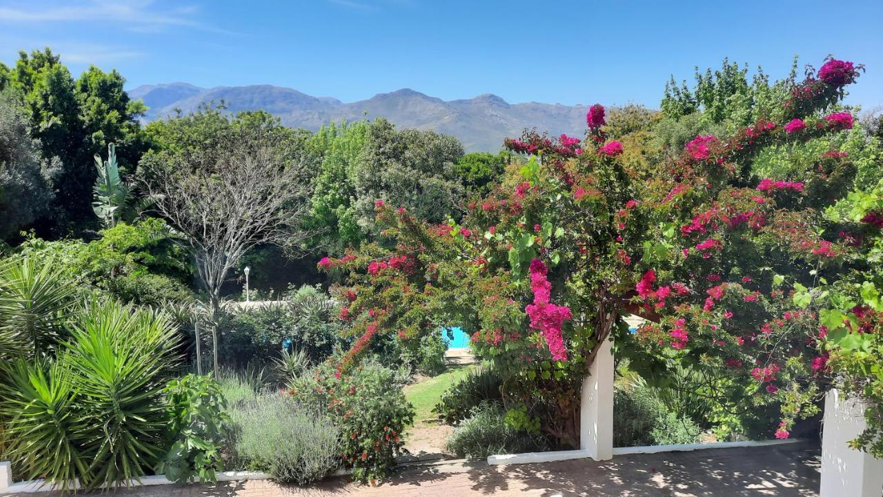 Alba House Guest House Paarl Εξωτερικό φωτογραφία