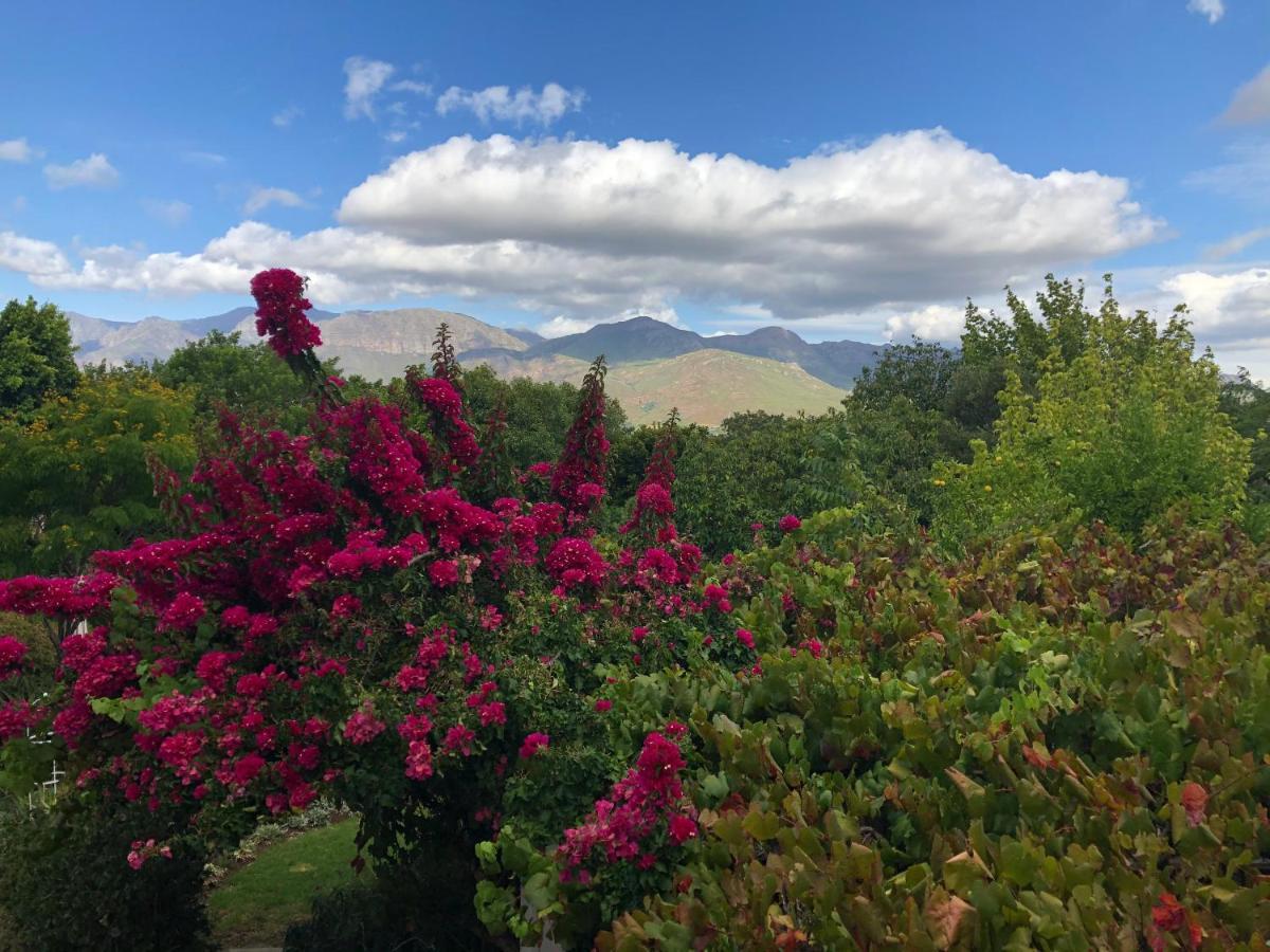 Alba House Guest House Paarl Εξωτερικό φωτογραφία