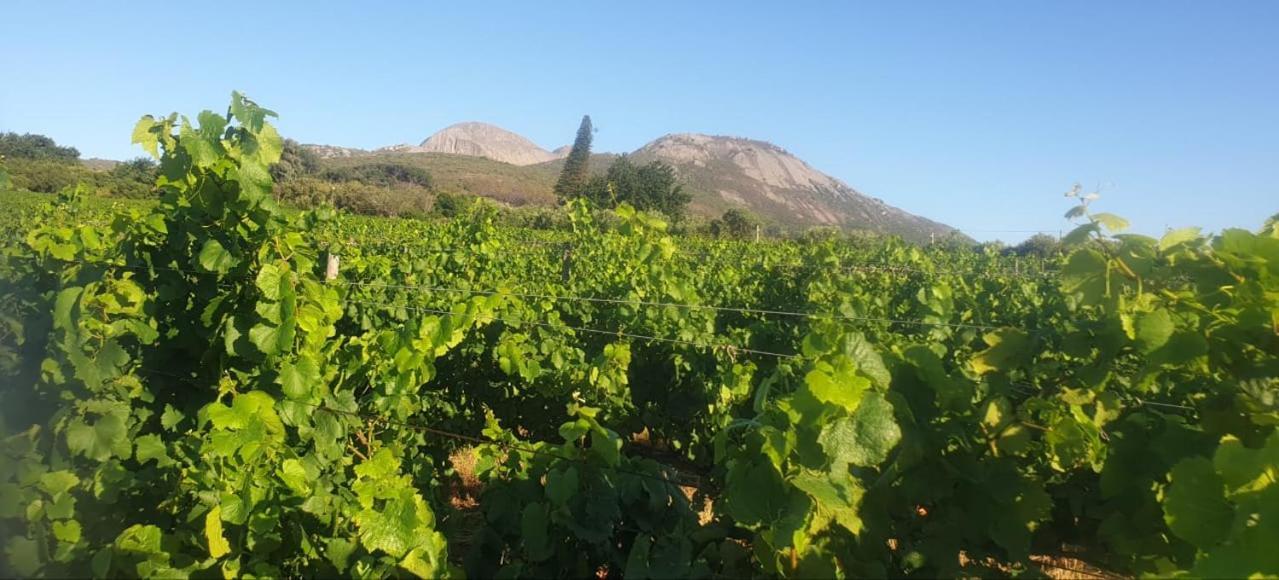 Alba House Guest House Paarl Εξωτερικό φωτογραφία